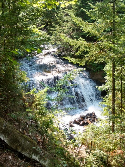 IMG_20180814_142720592_HDR.jpg